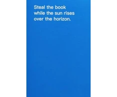 KNYGA David Horvitz How to shoplift books