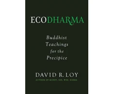 KNYGA David Loy Ecodharma