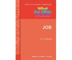 KNYGA David Newell What the Bible Teaches -Job