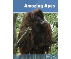 KNYGA David Orme Amazing Apes