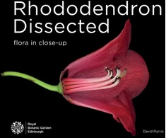 KNYGA David Purvis Rhododendron Dissected