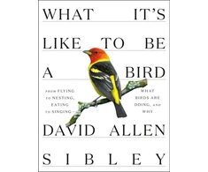 KNYGA David Sibley What It's Like to be a Bird