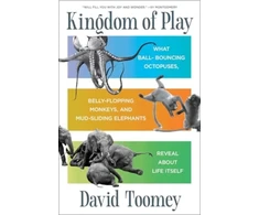 KNYGA David Toomey Kingdom of Play