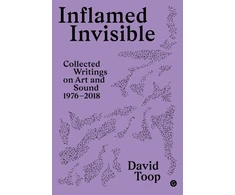KNYGA David Toop Inflamed Invisible