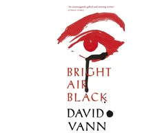 KNYGA David Vann Bright Air Juodas