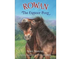 KNYGA Dawn Westcott Rowan The Exmoor Pony