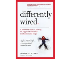 KNYGA Deborah Reber Differently Wired