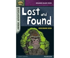 KNYGA Dee Reid Rapid Stage 7 Assessment book: Lost and Found