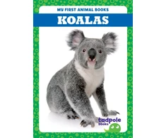 KNYGA Deniston Koalas