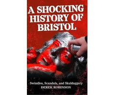 KNYGA Derek Robinson Shocking History Of Bristol