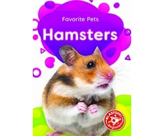 KNYGA Derek Zobel Hamsters