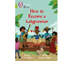 KNYGA Desryn Collins How to become a Calypsonian
