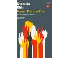 KNYGA Diamela Eltit Never Did the Fire