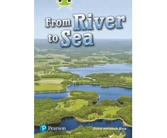 KNYGA Dona Herweck Rice Bug Club Lime Plus A NF From River to Sea