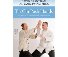 KNYGA Dr. Jwing-Ming Yang Tai Chi Push Hands