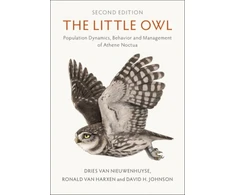 KNYGA Dries Van Nieuwenhuyse Little Owl