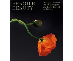 KNYGA Duncan Forbes Fragile Beauty