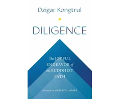 KNYGA Dzigar Kongtrul Diligence