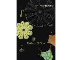 KNYGA Edmund Gosse Translator Father and Son