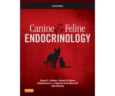 KNYGA Edward C. Feldman DVM DACVIM Canine and Feline Endocrinology