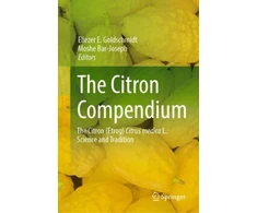 KNYGA Eliezer E Goldschmidt Citron Compendium