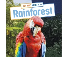KNYGA Ellen Labrecque Day and Night in the Rainforest