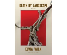 KNYGA Elvia Wilk Death by Landscape