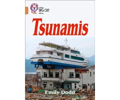 KNYGA Emily Dodd Tsunamis