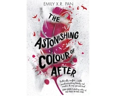 KNYGA Emily X. R. Pan Astonishing Colour of After