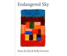 KNYGA Endangered Sky: Sean Scully &amp; Kelly Grovier