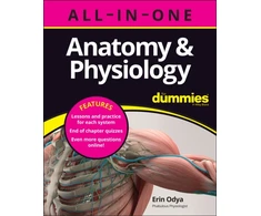 KNYGA Erin Odya Anatomy &amp; Physiology All-in-One For Dummies (+ Chapter Quizzes Online)