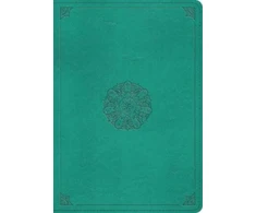 KNYGA ESV Bibles by Crossway ESV Study Bible