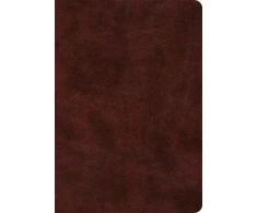 KNYGA ESV Bibles by Crossway ESV Super Giant Print Bible