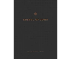 KNYGA Esv Bibles ESV Gospel of John, Reader's Edition