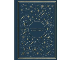 KNYGA Esv Bibles ESV Illuminated Scripture Journal