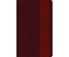 KNYGA Esv Bibles ESV Large Print Personal Size Bible, Raudona Letter