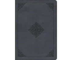 KNYGA Esv Bibles ESV Large Print Wide Margin Bible