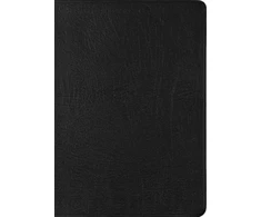 KNYGA Esv Bibles ESV New Testament with Psalms and Proverbs