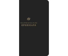 KNYGA Esv Bibles ESV Scripture Journal
