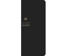 KNYGA Esv Bibles ESV Scripture Journal