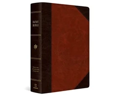 KNYGA Esv Bibles ESV Super Giant Print Bible