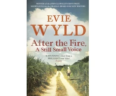KNYGA Evie Wyld After the Fire, A Still Small Voice