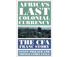 KNYGA Fanny Pigeaud Africa's Last Colonial Currency