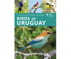 KNYGA Florencia Ocampo Birds of Uruguay