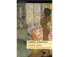 KNYGA Gabriel Josipovici Contre-Jour