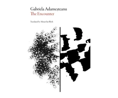 KNYGA Gabriela Adameteanu Encounter