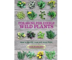 KNYGA Gail Harland Foraging for Edible Wild Plants