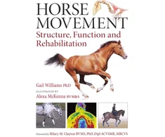KNYGA Gail Williams Horse Movement