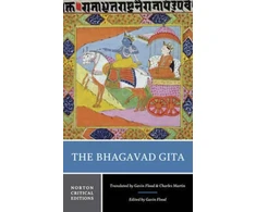 KNYGA Gavin Flood Bhagavad Gita