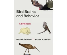 KNYGA Georg Striedter Bird Brains and Behavior